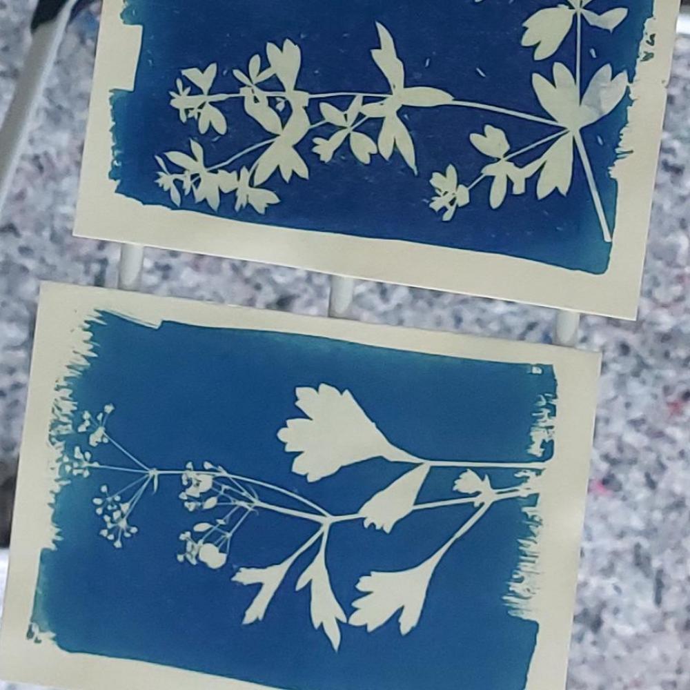 Bild zur Veranstaltung - >>C<< wie Cyanotypie-Werkstatt: Vom Hasen und seinen Freunden