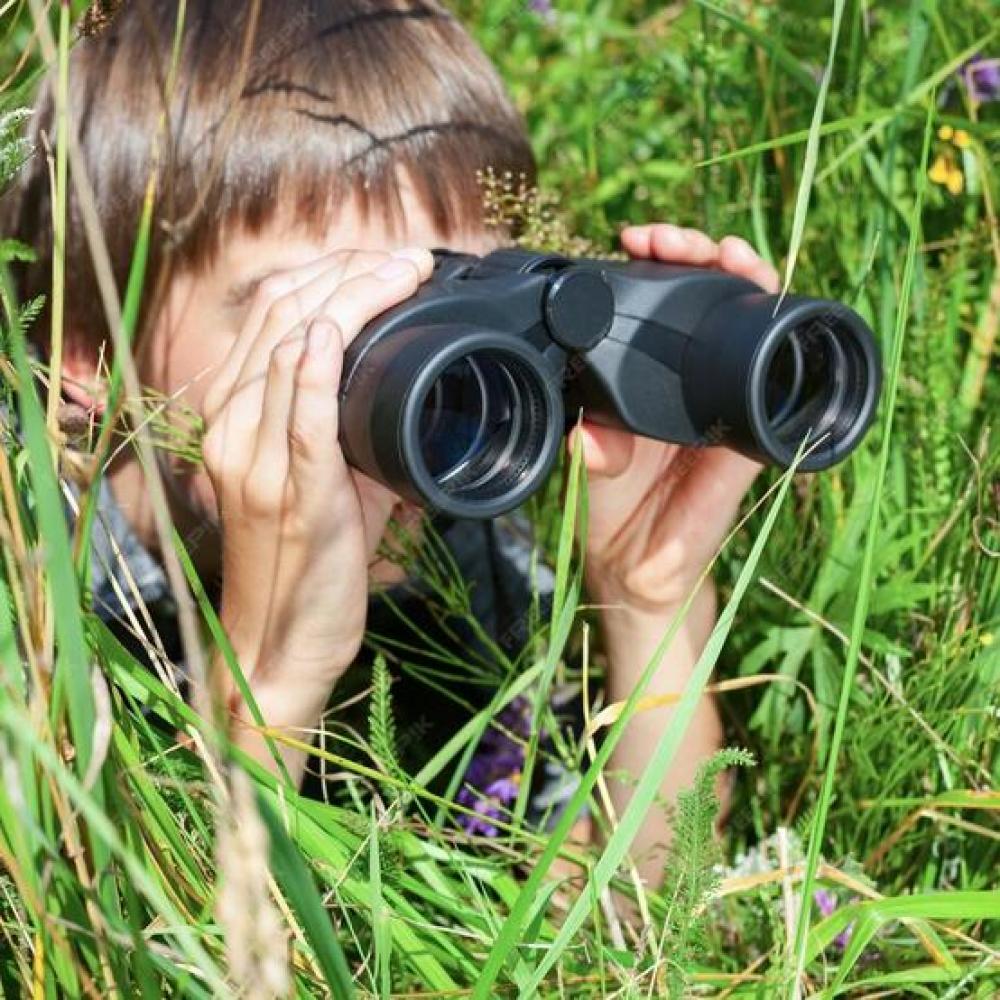 Bild zur Veranstaltung - Komm, wir entdecken Tiere!