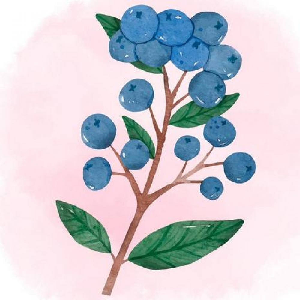 Bild zur Veranstaltung - Kreativer Frühling in der Heidelbeere: Geschichte trifft Bastelfreude