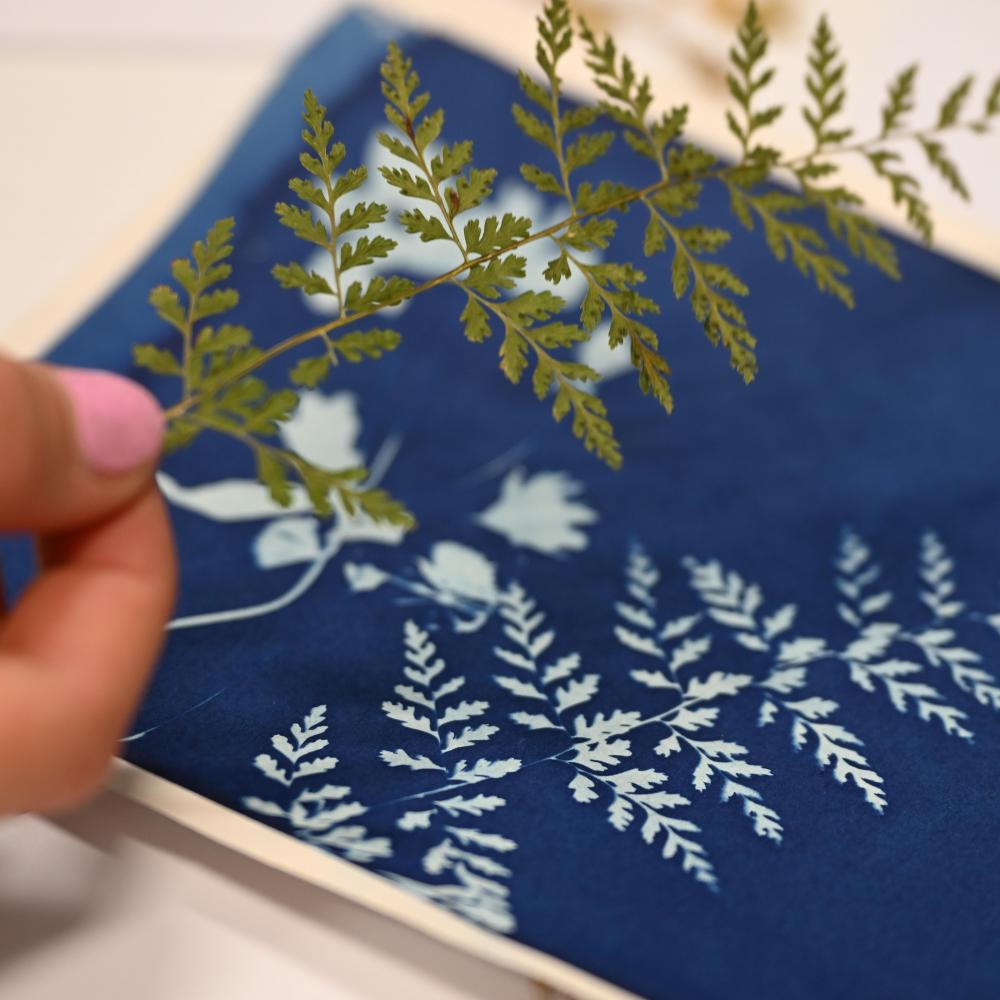 Bild zur Veranstaltung - Naturforscher