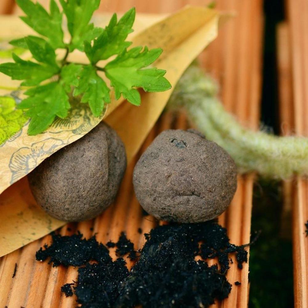 Bild zur Veranstaltung - Gartenspaß für Kinder: Blumenmurmeln selbst machen
