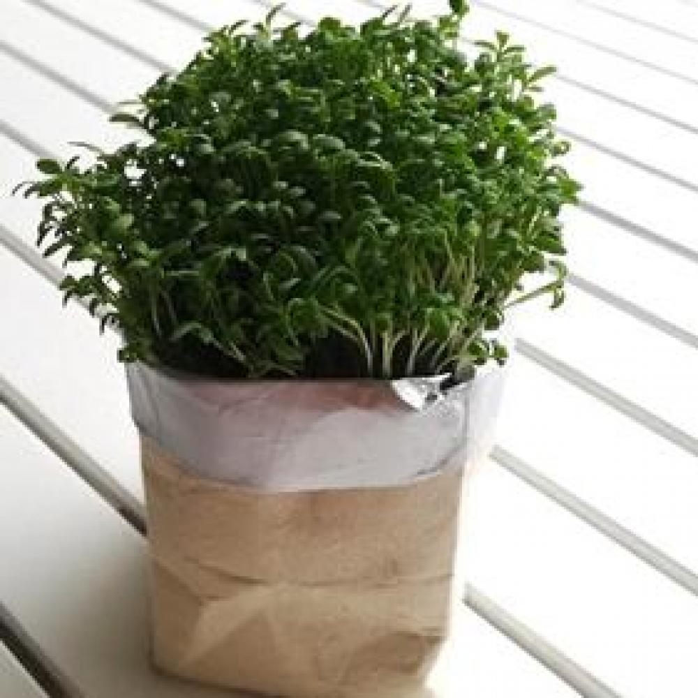 Bild zur Veranstaltung - Tetrapack Upcycling: Blumentöpfe