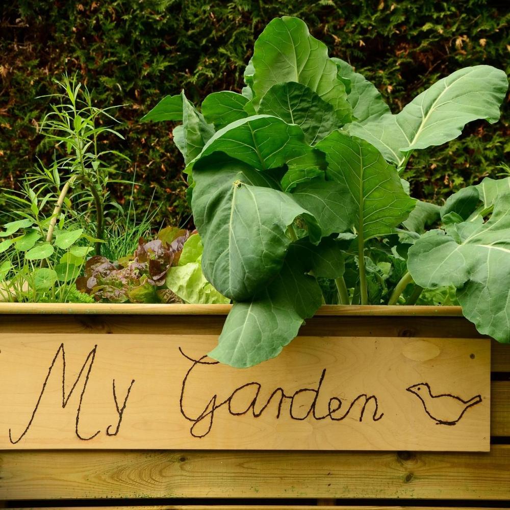 Bild zur Veranstaltung - Der Selbstversorger-Garten