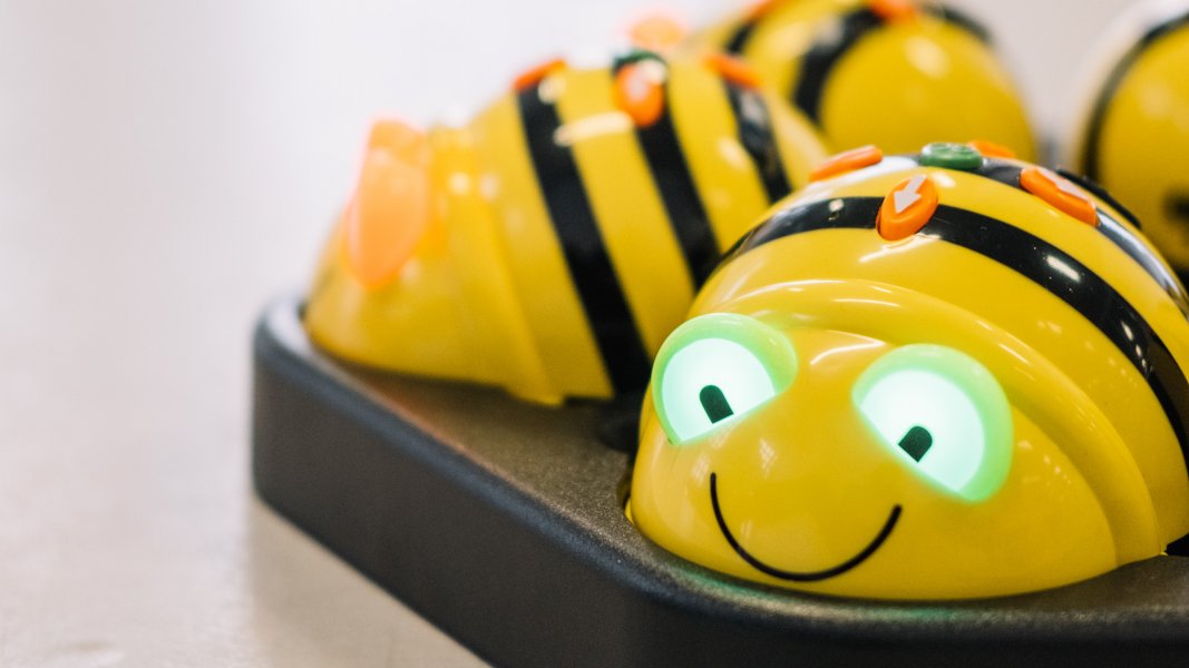 Bee-Bot-Abenteuerwerkstatt