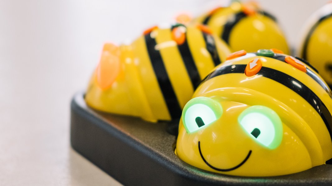 Bee-Bot-Abenteuerwerkstatt
