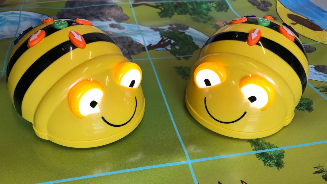 Vorlesen mit Bee-Bots: "Die große Weltreise durch den Zoo"