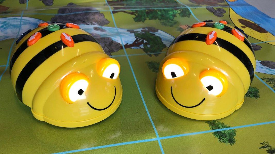 Bee-Bot Abenteuerwerkstatt
