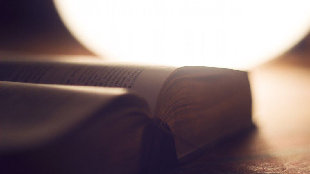Lesen mit allen Sinnen