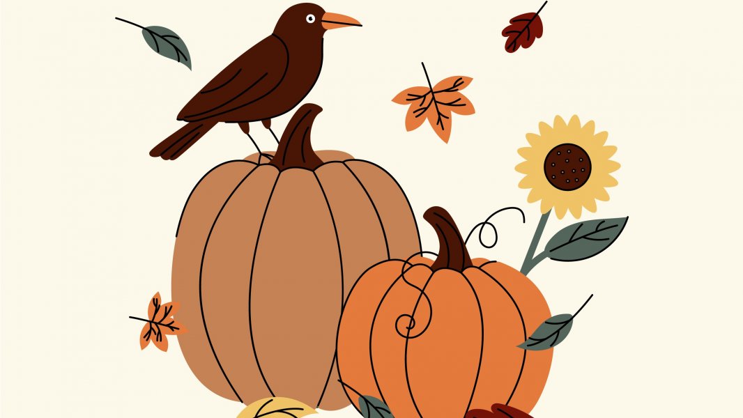 Herbstgeschichten und Kürbisschnitzen in der Heidelbeere