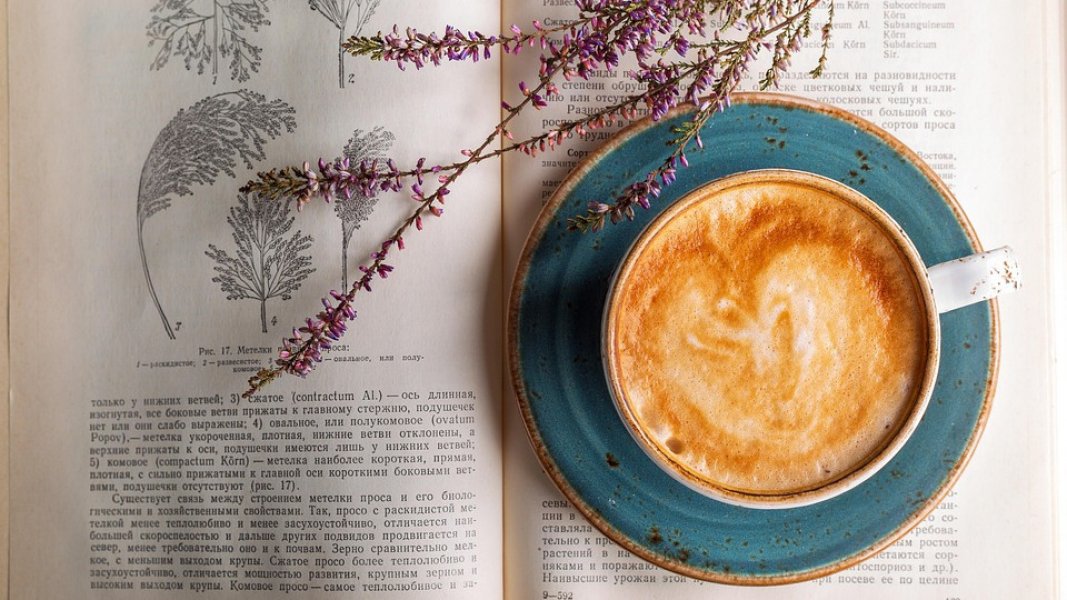 Tag der Bibliotheken - Lesetipps im Literaturcafé am Nachmittag