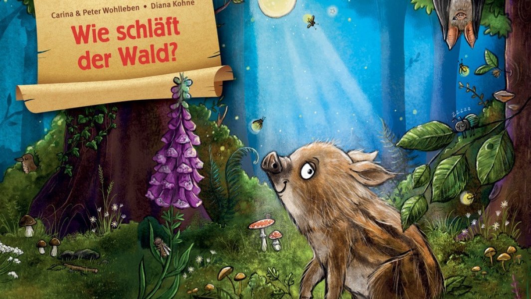 Wie schläft der Wald?