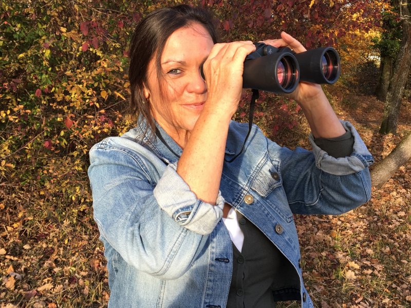 Stell dir vor, du wärst ein Tier im Wald