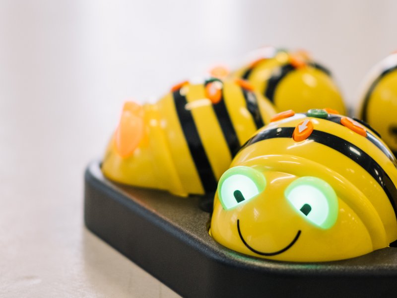 Bee-Bot-Abenteuerwerkstatt