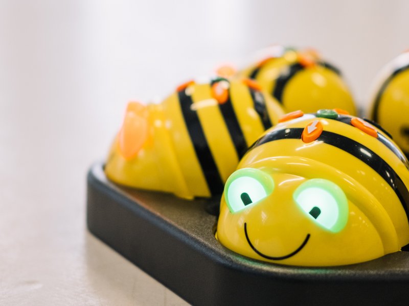 Bee-Bot-Abenteuerwerkstatt