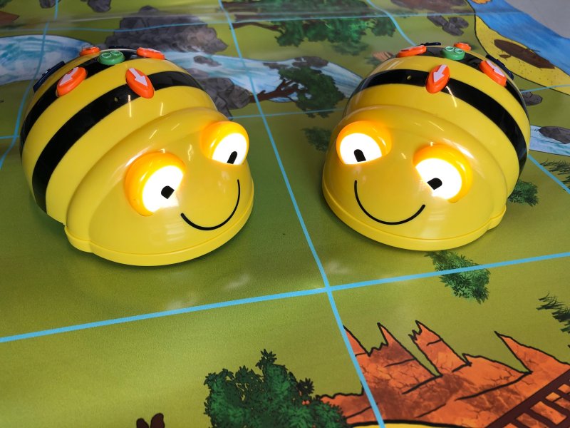 Vorlesen mit Bee-Bots: "Die große Weltreise durch den Zoo"