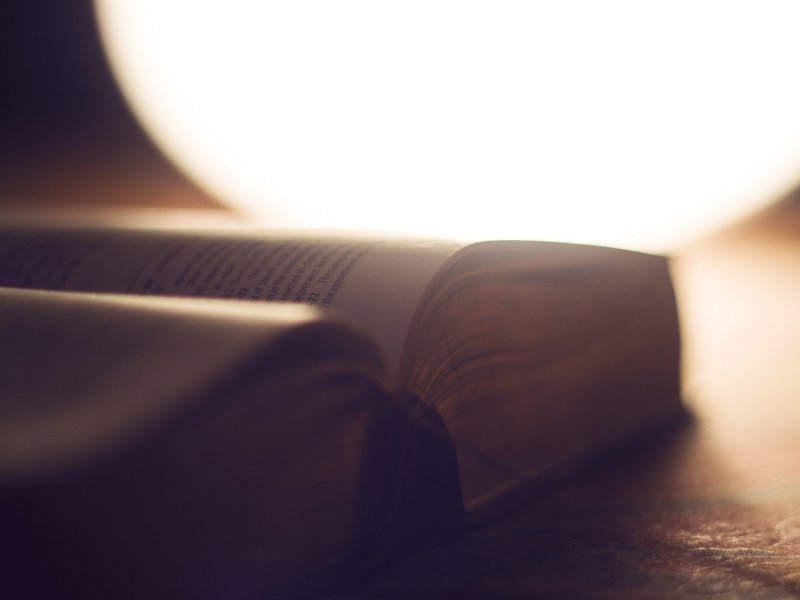 Lesen mit allen Sinnen
