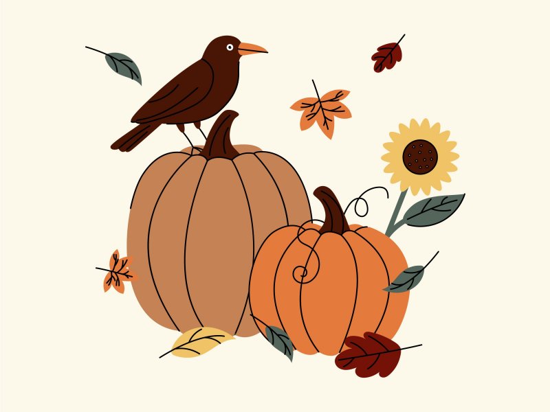 Herbstgeschichten und Kürbisschnitzen in der Heidelbeere