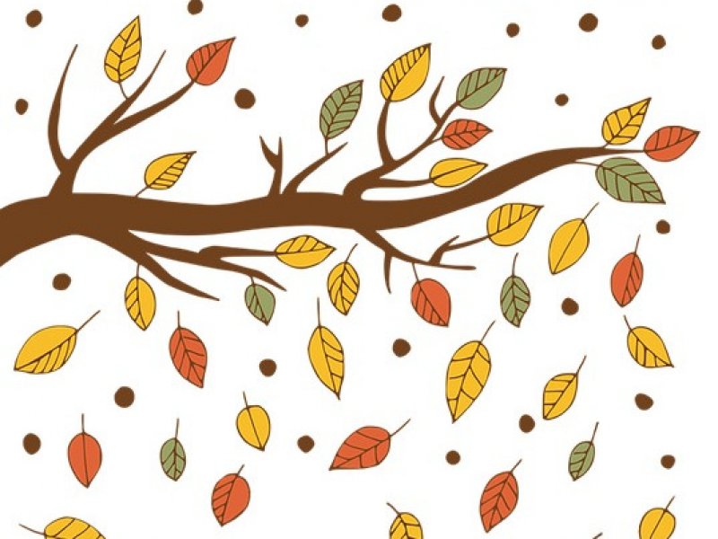Hurra der Herbst ist da! 
