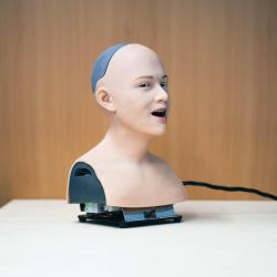 Robolab: Künstliche Intelligenz in menschenähnlicher Form - die Androiden Roboter des Humanoid Labs